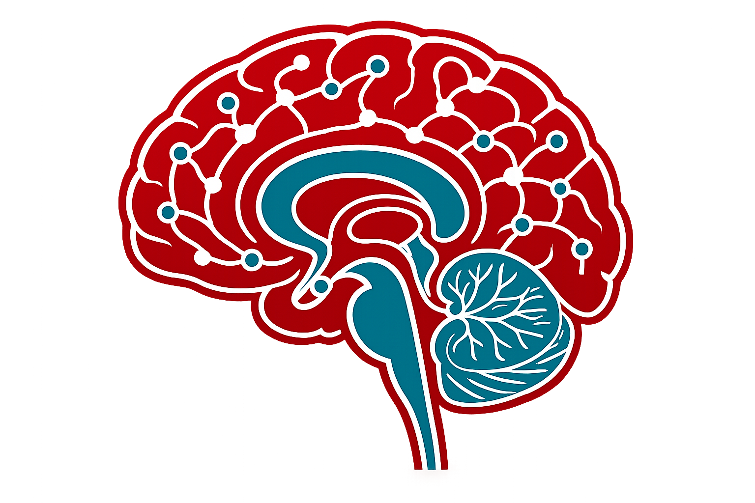 Illustrated brain showing neural networks with connected nodes in red and teal on a gradient background, highlighting brain activity.